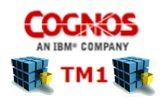 ibm_cognos_tm1