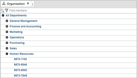 Standard Hierarchy View in IBM PA